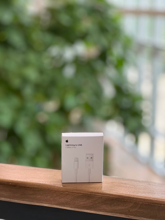 Apple Lightning to USB